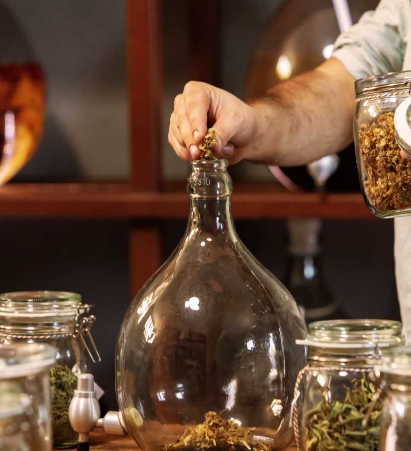 conocenos Priorat lab - hierbas