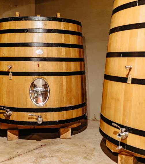 tronconidos Priorat Lab