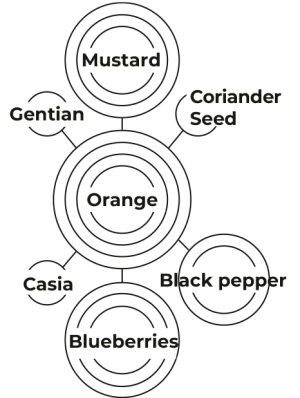 Ingredients Orange